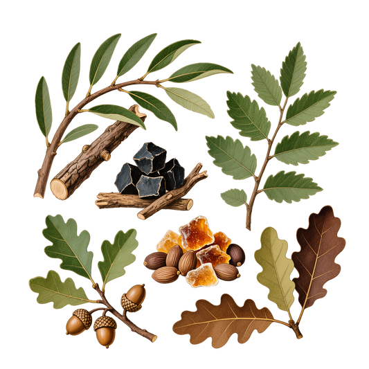 Woody, Smoky & Earthy Scents